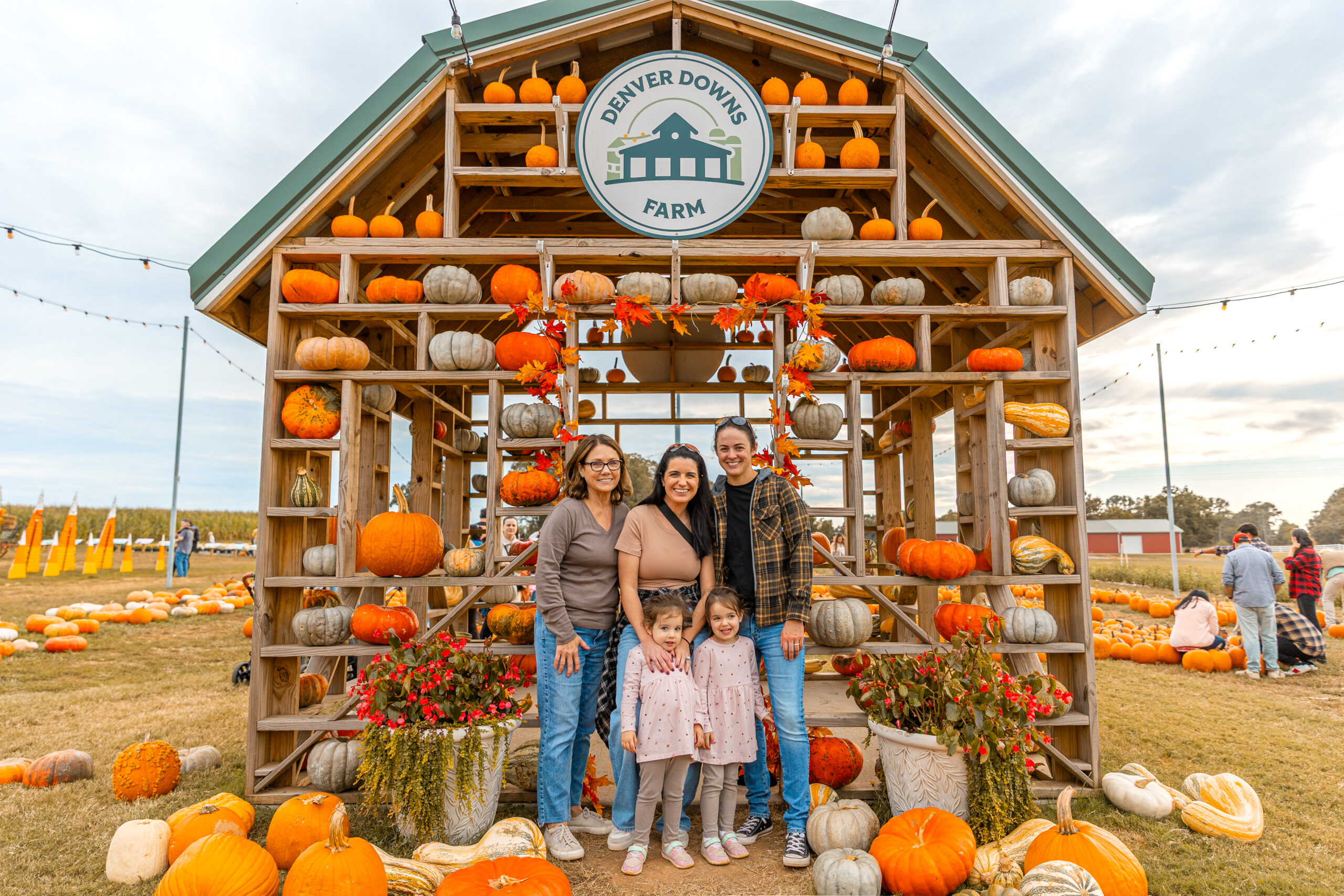 denver downs farm case study